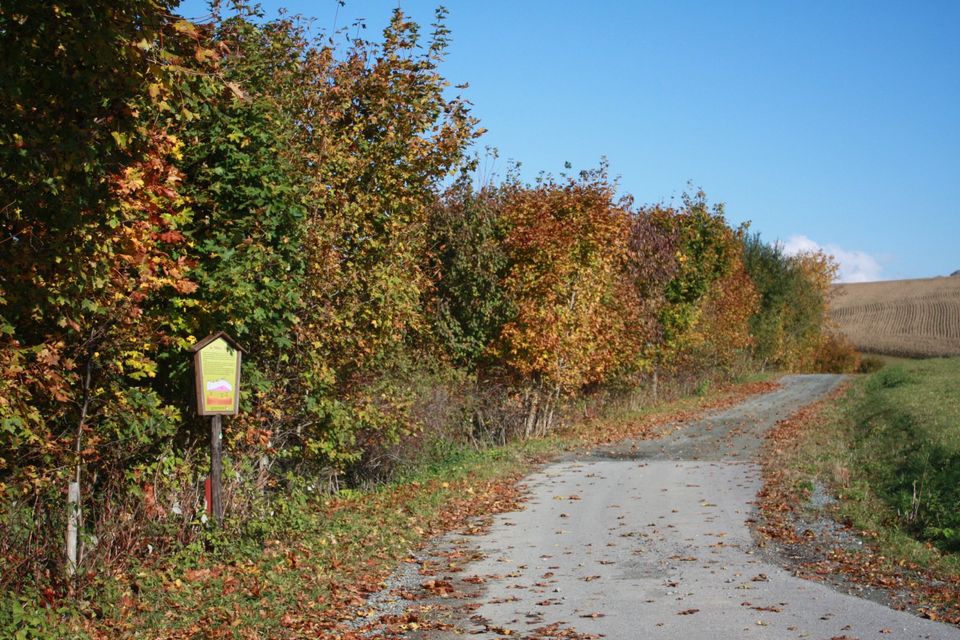 Erzgebirge- Termine kurzfristig verfügbar in Königswalde