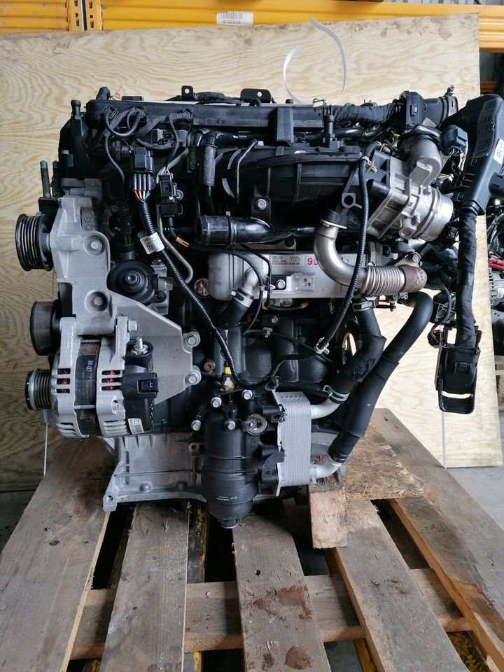 Motor Komplett D4HB 2.2 CRDI KIA Sorento 47 TKM 197PS bj2019 in Küstriner Vorland