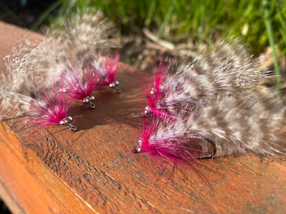 Polar Magnus / Fliegenfischen/ Meerforellenfliegen in Wismar