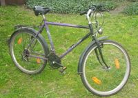 ca. 25 Jahre altes Herren-FAHRRAD 26er mit Shimano-Schaltung 3x7 Brandenburg - Golßen Vorschau