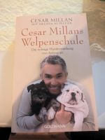 Cesar Millans Welpenschule Bayern - Kulmbach Vorschau