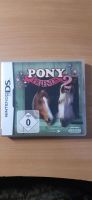 Nintendo DS Spiel: Pony Friends 2 Sachsen - Röhrsdorf Vorschau