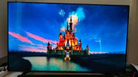 Neuw. Hisense 58" 4K UHD Smart TV Fernseher Disney+ Netflix Prime Sachsen-Anhalt - Ballenstedt Vorschau