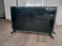 NEU dyon 80 cm Nordrhein-Westfalen - Detmold Vorschau