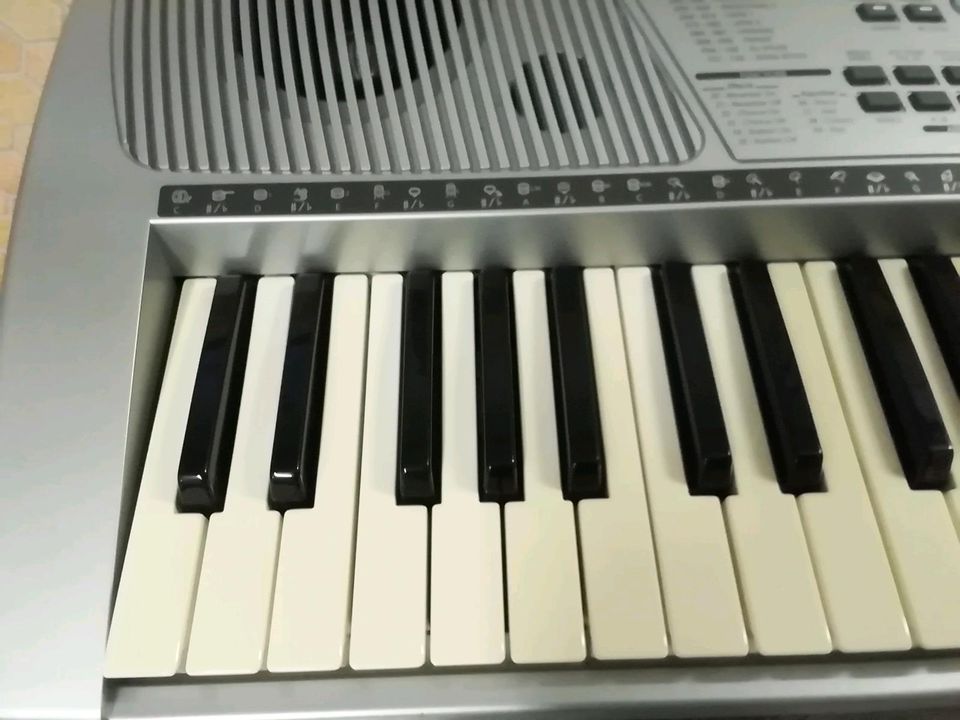 Keyboard Bontempi PM 749/A mit Keyboard Ständer in Vordorf