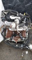 Ford Transit MK8 2,0 TDI Euro6 YNF6 Motor Triebwerk Engine Nordrhein-Westfalen - Dorsten Vorschau