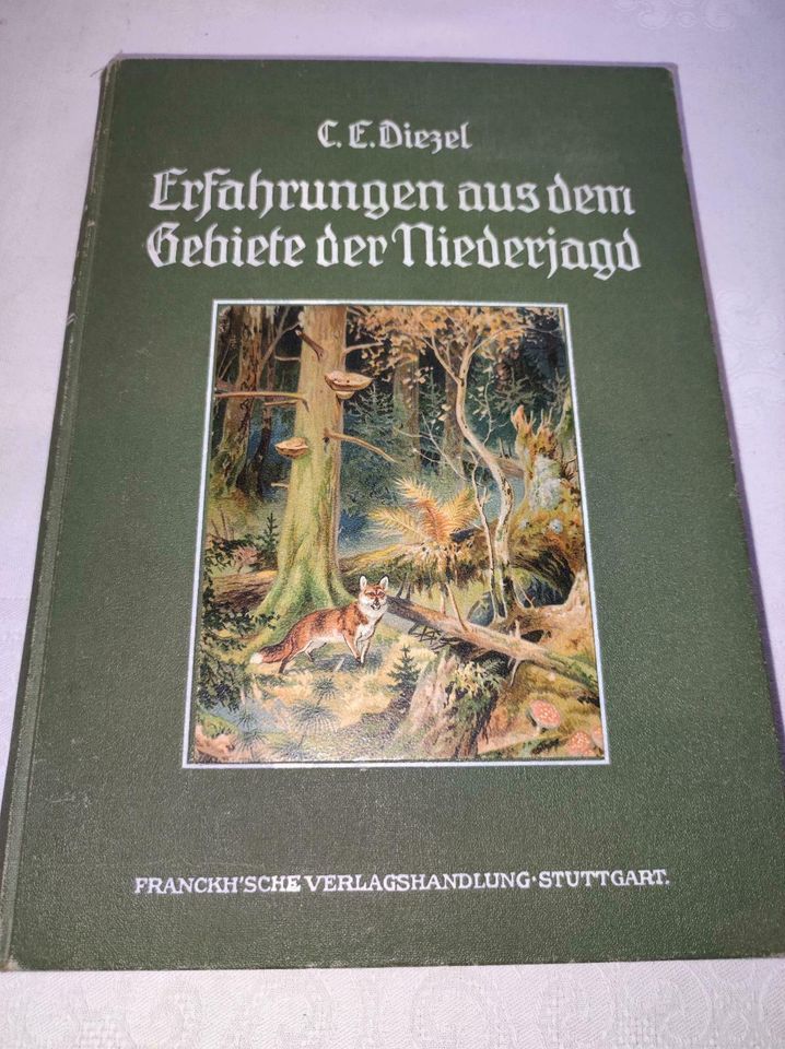 Erfahrungen auf dem Gebiete der Niederjagd 1913 in Floh-Seligenthal-Kleinschmalkalden