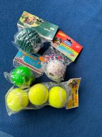 Diverses Hundespielzeug NEU/Originalverpackung Bonn - Bonn-Zentrum Vorschau