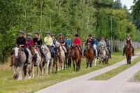 Horsemanship Camp Mecklenburg-Vorpommern - Drefahl Vorschau