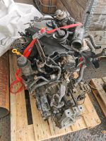 VW Golf 4, 1.9tdi AXR Motor mit Getriebe, T3 Projekt Bayern - Wolframs-Eschenbach Vorschau