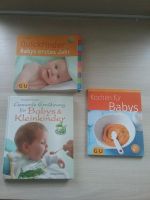 Bücher für Babys,  Babys erstes Jahr,  Kochbücher fürs Baby Bayern - Dillingen (Donau) Vorschau