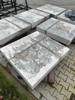 Beton Platten Gewichts platten Stein Nordrhein-Westfalen - Castrop-Rauxel Vorschau