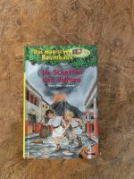 Das magische Baumhaus - Im Schatten des Vulkans Bd. 13 Niedersachsen - Stoetze Vorschau