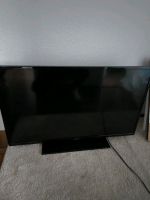 40 Zoll Fernseher zu verkaufen Berlin - Reinickendorf Vorschau