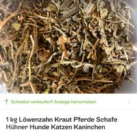 1 kg Löwenzahn Kraut Pferde Schafe Ziegen Hühner Hunde Niedersachsen - Barum b Bad Bevensen Vorschau