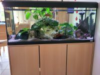 Fluval Aquarium 240 l mit Unterschrank und kompletter Technik Hessen - Gilserberg Vorschau