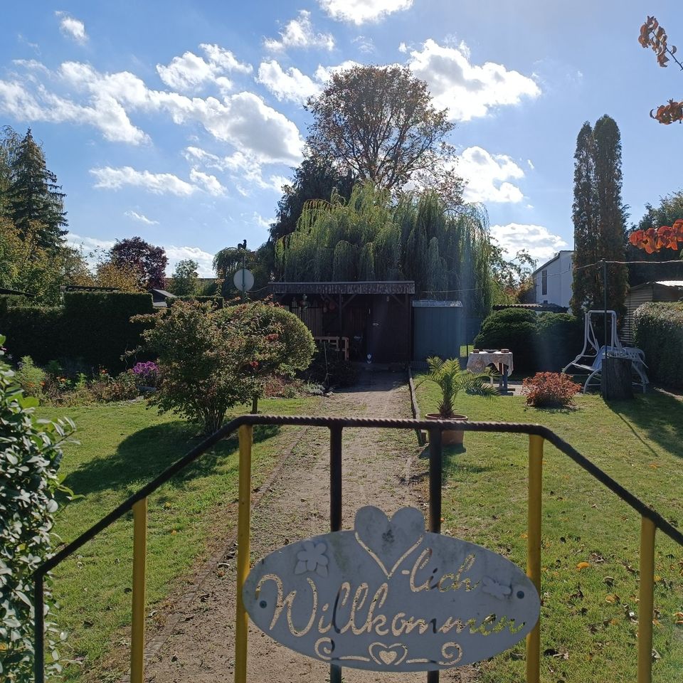 ✔️++Kleingarten Gartengrundstück Privatgrundstück zu Verpachten oder zu Verkaufen+++✔️ in Friedensstr., 15328 Küstriner Vorland(58km von Berliner Stadtgrenze) in Berlin