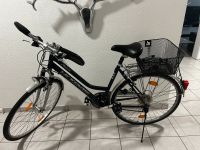 Fahrrad MCKenzie Niedersachsen - Soltau Vorschau