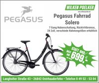 Pegasus Solero Trekkingrad schwarz Damen 7 Gang mit Rücktritt Niedersachsen - Ostrhauderfehn Vorschau