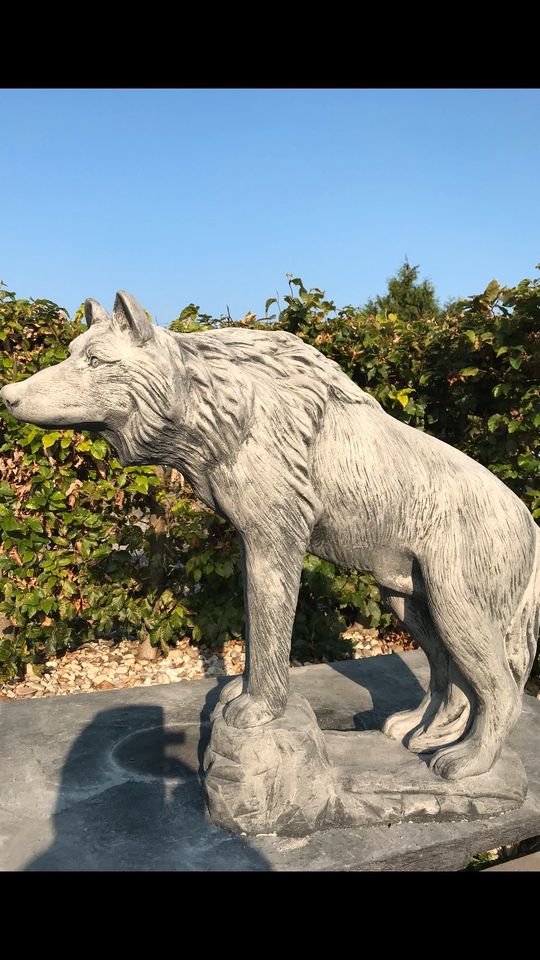 Wolf Lebensgroß 80cm 130kg Wölfe Wolfshund Husky Timberwolf in Hannover