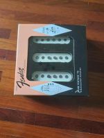 Fender USA Pure Vintage 73 Stratocaster Pickup Set Hessen - Marburg Vorschau