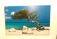 Wandbild Bild Strand Meer Olivenbaum blau Dortmund - Deusen Vorschau