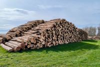 ☘️ 25 RM Brennholz Laubholz frisch Stammholz inkl.Transport Hof Thüringen - Schleiz Vorschau