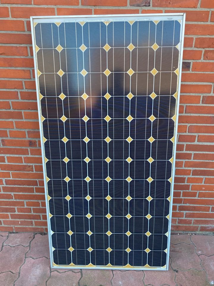 PV, Solar Module, Balkon Kraftwerk 170WP, 25€ VB / Stück in Burg (Dithmarschen)