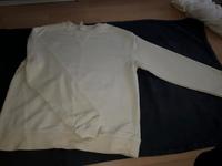 Damen Langarmshirt Oberteil Sweatpullover Sweater gr 36 S H&M Nordrhein-Westfalen - Herne Vorschau