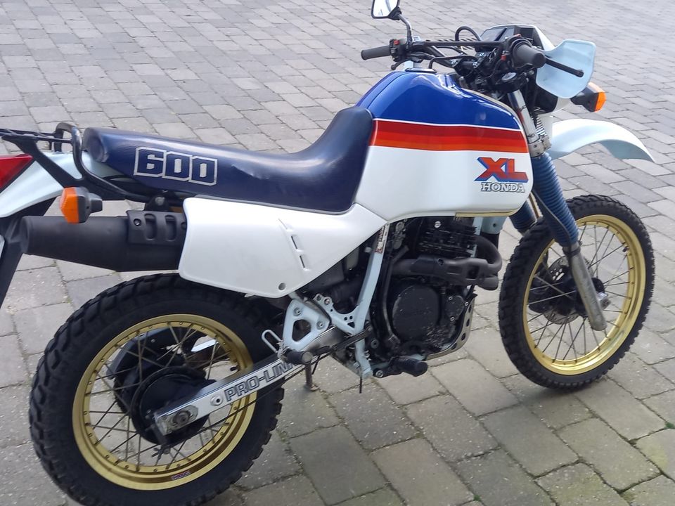 Honda XL 600 LM in Bühnsdorf