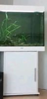 Aquarium Juwel Lido 200 Liter mit Unterschrank Niedersachsen - Stade Vorschau