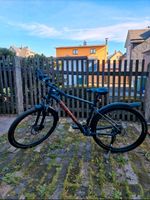 Mountainbike Herren 29 Zoll Dresden - Löbtau-Süd Vorschau