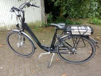 Curtis Pedelec, E Bike, Elektrofahrrad, 36V/13 Ah Nordrhein-Westfalen - Recklinghausen Vorschau