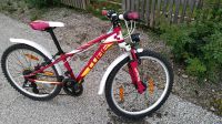 Kinderfahrrad Cube Race Allroad 24 Zoll München - Bogenhausen Vorschau