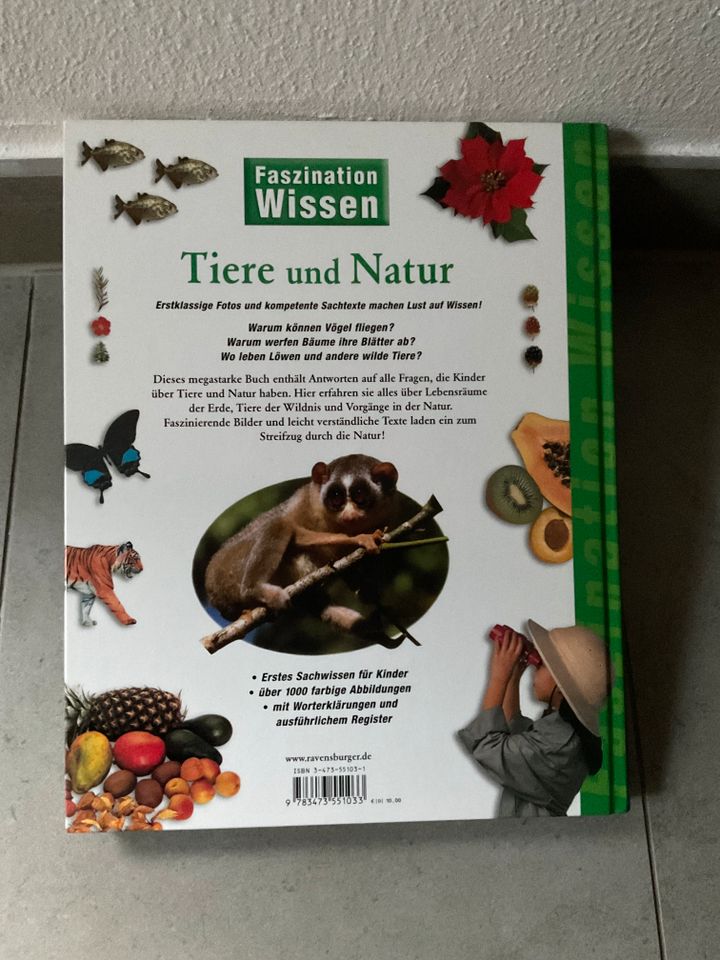 Tiere und Natur Faszination Wissen Kinderwissensbuch in Fürstenfeldbruck