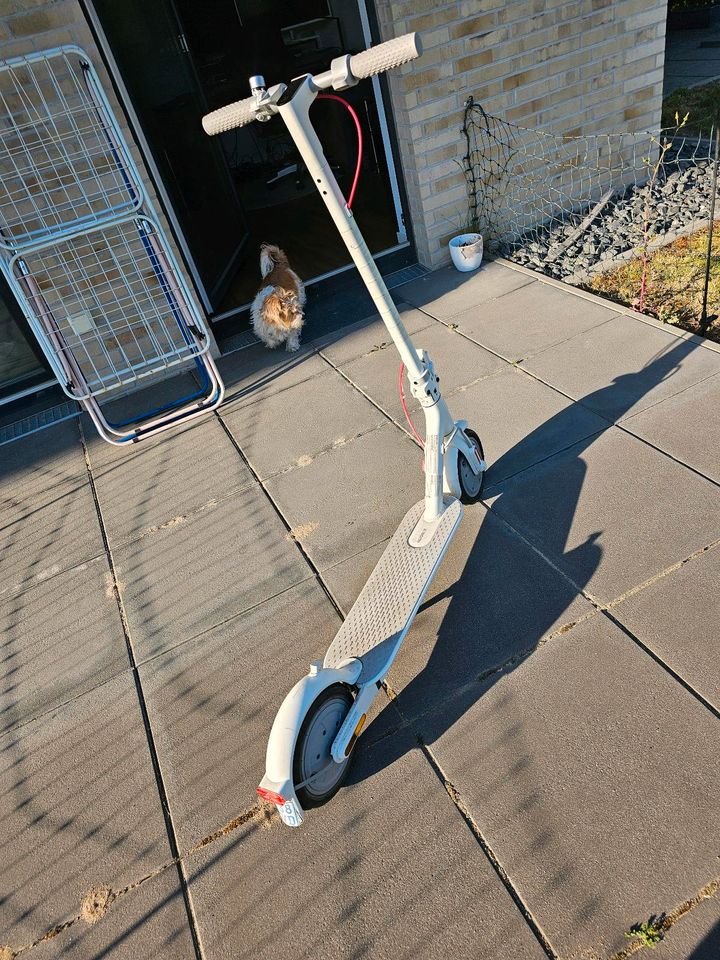 E-Scooter Xiaomi 3 Lite in Geesthacht