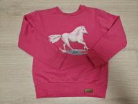 Walkiddy Pullover Sweatshirt Größe 104 pink Pferd Nordrhein-Westfalen - Kreuztal Vorschau