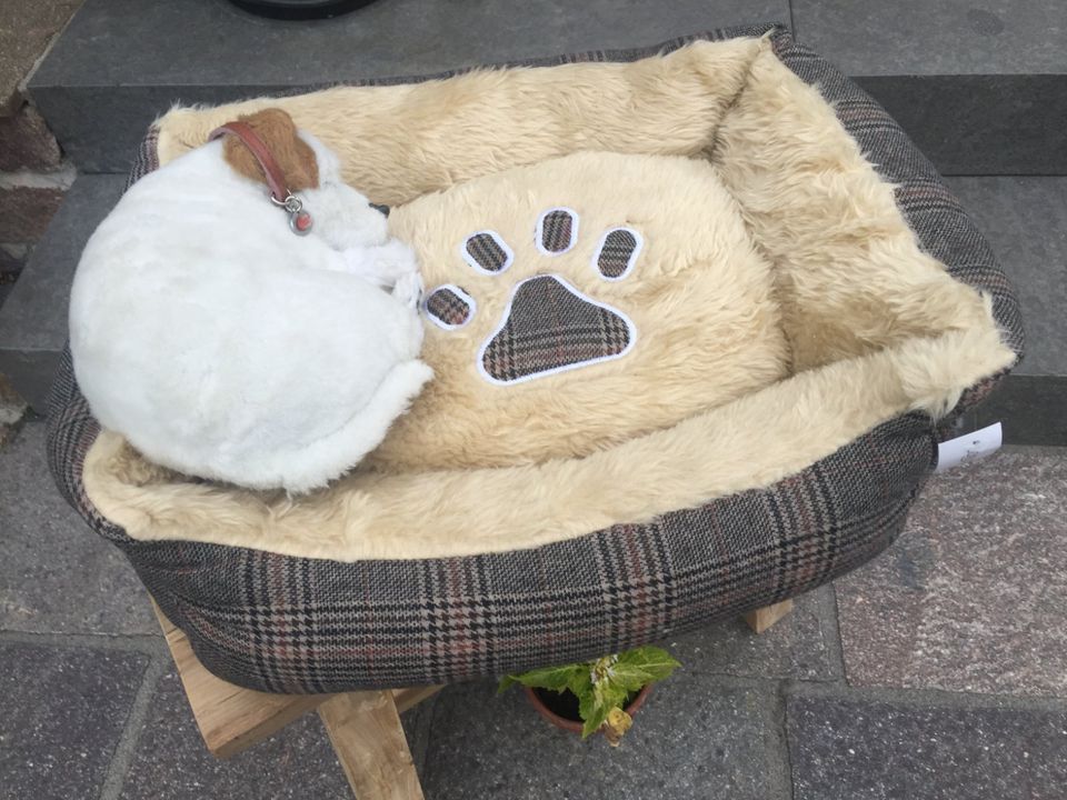 Hundebett Katzenbett Hundekorb Katzenkorb in Osnabrück