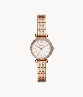 Neu: Fossil Damenuhr Tillie Mini Edelstahl Roségold BQ 3502 Rheinland-Pfalz - Pirmasens Vorschau