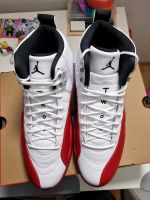 Nike Air Jordan 12 Retro  Neu Rheinland-Pfalz - Langenlonsheim Vorschau