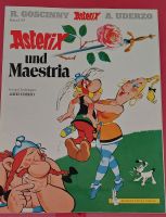 Asterix und Maestria, Band 29 Brandenburg - Großbeeren Vorschau