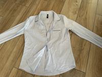 Damen Bluse langarm  38 Sachsen-Anhalt - Magdeburg Vorschau