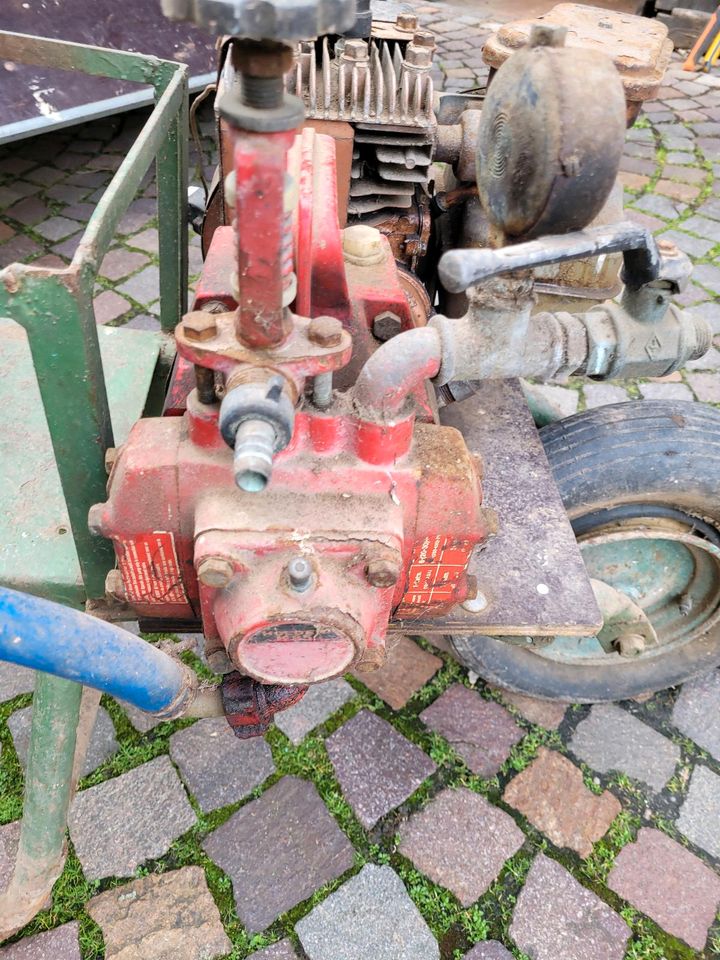 Eigenbau Motorspritze Pumpe Weinbergspritze in Schriesheim