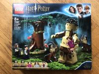 Lego Harry Potter 75967 Der verbotene Wald-Begegnung mit Umbridge Friedrichshain-Kreuzberg - Friedrichshain Vorschau