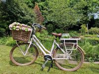 Gazelle Miss Grace rosa E-Bike Gr.54 top gepflegt Damenrad Nordrhein-Westfalen - Nottuln Vorschau