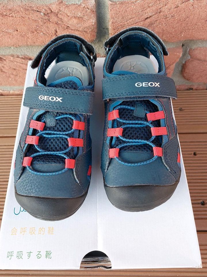 Geox Sandalen, Gr. 30, Modell Vaniett, blau-rot - Top! in Nordstemmen