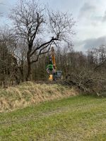 Baufeld Rodung  Baumfällung Schreddern Bagger Dithmarschen - Nordhastedt Vorschau