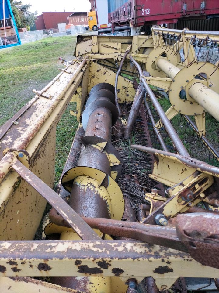 Mähdrescher, Trecker, Landmaschinen, New Holland, in Badbergen