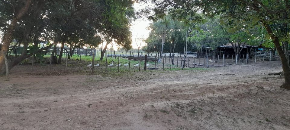 24 Ha. Grundstück mit Haus in San Estanislao-Paraguay in Zossen-Zesch am See