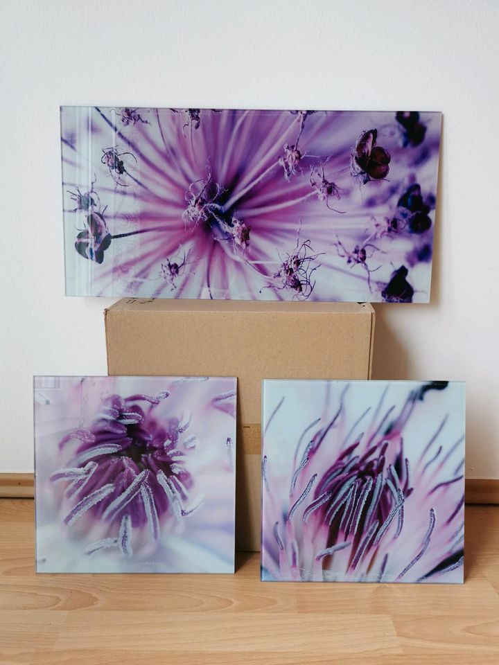 3x Glasbilder gefrorene Wildblumen Violette Lila in Erkelenz